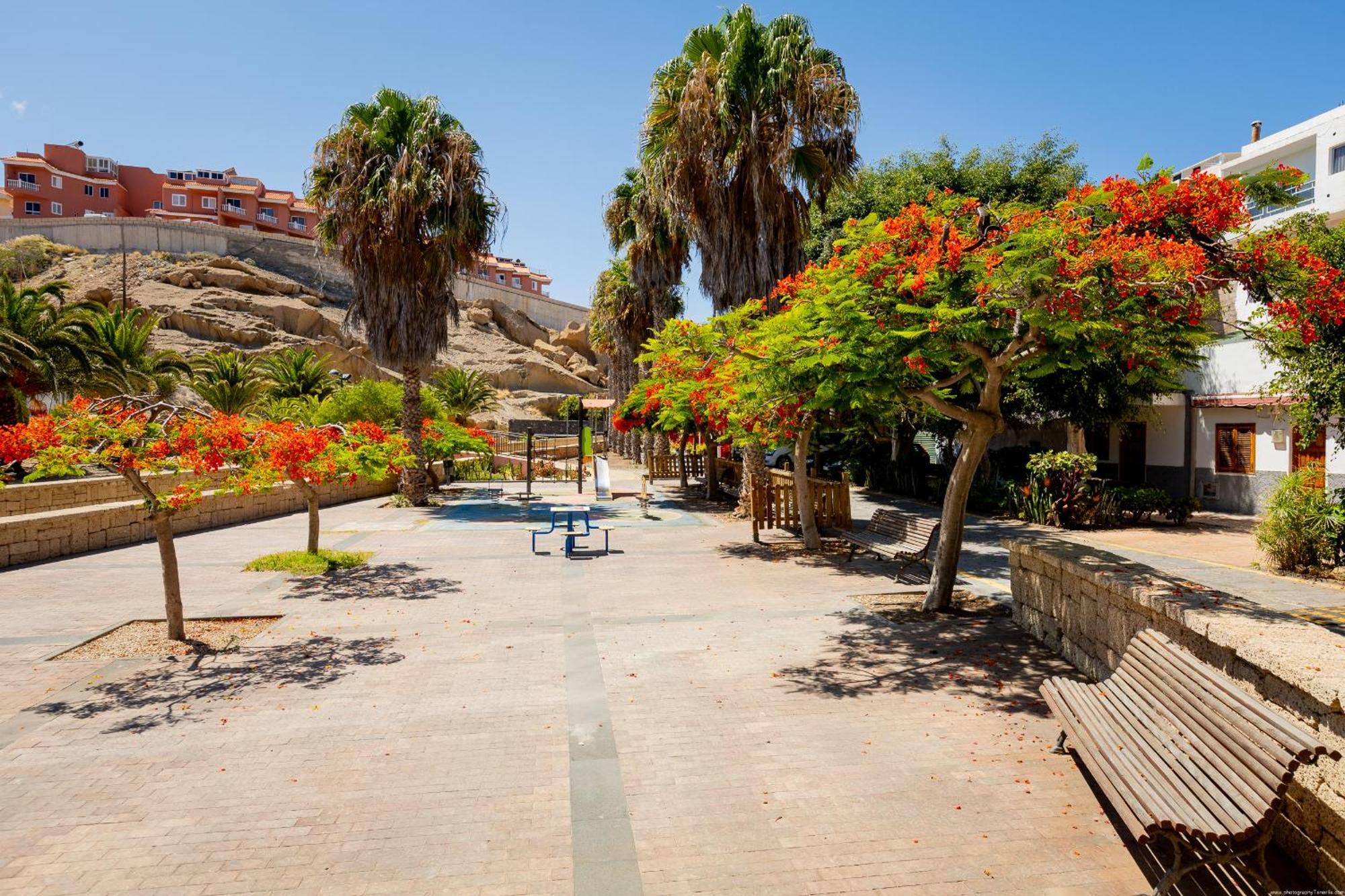 House Bijagua, Tajao, Tenerife La Jaca Εξωτερικό φωτογραφία